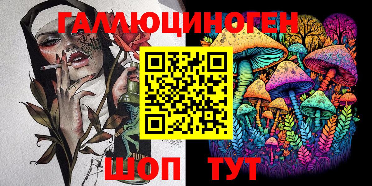 Псилоцибиновые грибы Psilocybe Кострома