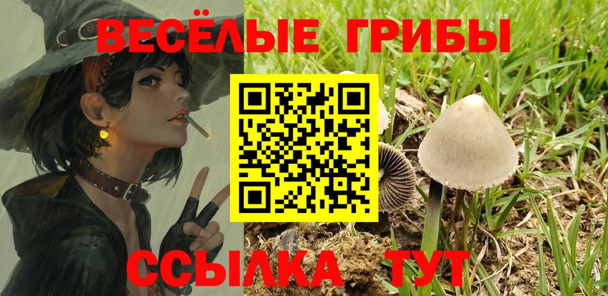 как найти   Вход с VPN  Галлюциногенные грибы Magic Shrooms  Кострома  Галлюциногенные грибы Cubensis 